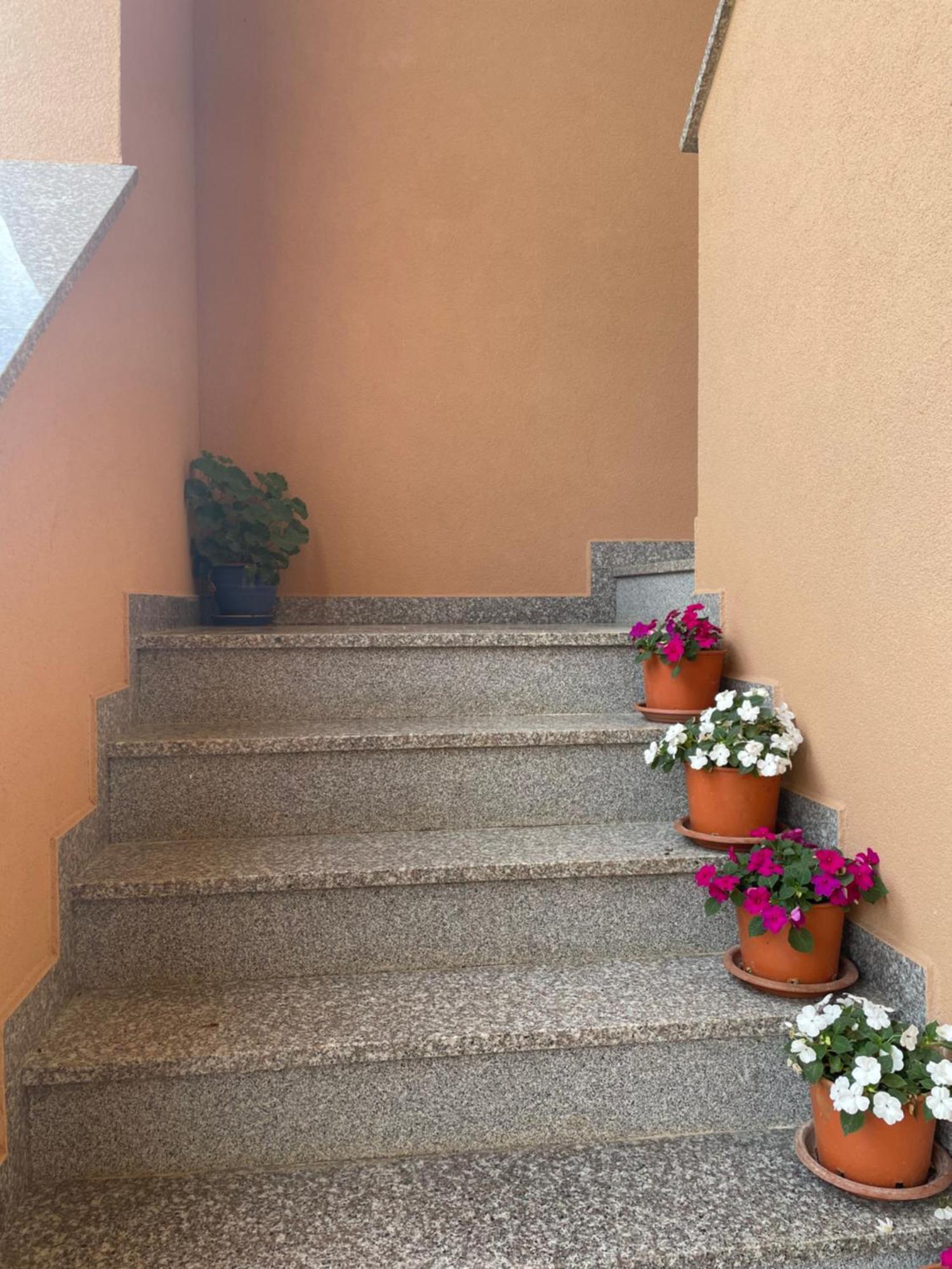 Apartments Dora Poreč Eksteriør bilde